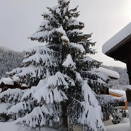 Enfini * Fieschertal