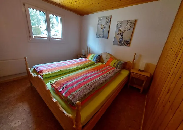 Daire Enfini
